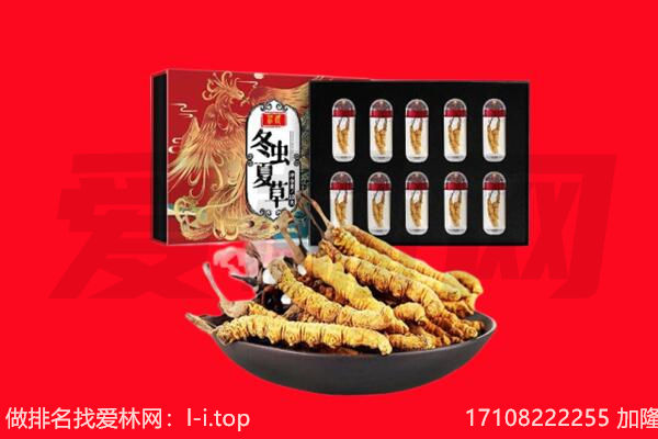 黔南独山县回收虫草.jpg